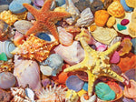 Beach Shells (1486pz) - 500 Piece Jigsaw Puzzle