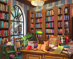Public Library (2154pz) - 1000 Piece Jigsaw Puzzle