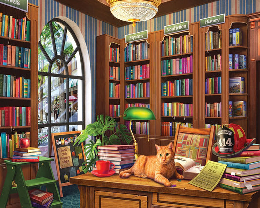 Public Library (2154pz) - 1000 Piece Jigsaw Puzzle