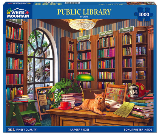 Public Library (2154pz) - 1000 Piece Jigsaw Puzzle