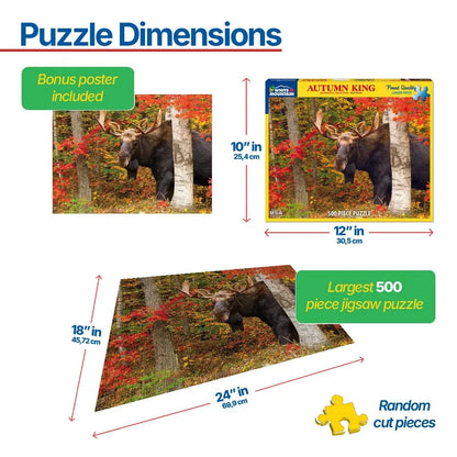 Puzzle Dimensions